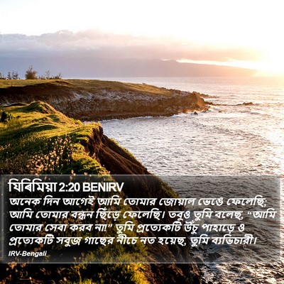 যিৰিমিয়া 2:20 BENIRV Bible Verse Image