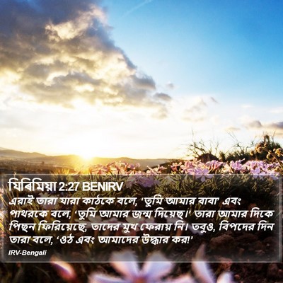 যিৰিমিয়া 2:27 BENIRV Bible Verse Image