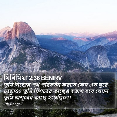 যিৰিমিয়া 2:36 BENIRV Bible Verse Image