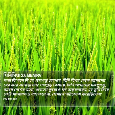 যিৰিমিয়া 2:6 BENIRV Bible Verse Image
