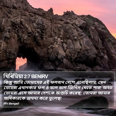 যিৰিমিয়া 2:7 BENIRV Bible Verse Image