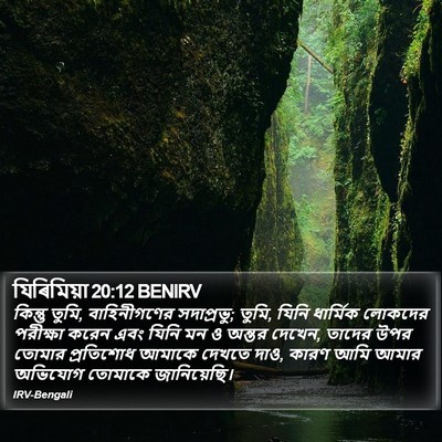 যিৰিমিয়া 20:12 BENIRV Bible Verse Image