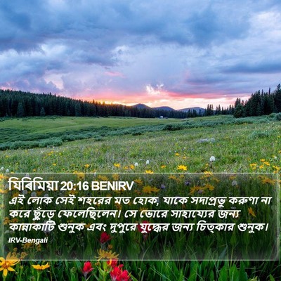 যিৰিমিয়া 20:16 BENIRV Bible Verse Image