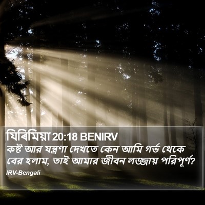 যিৰিমিয়া 20:18 BENIRV Bible Verse Image