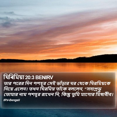 যিৰিমিয়া 20:3 BENIRV Bible Verse Image