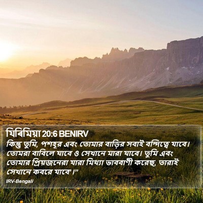 যিৰিমিয়া 20:6 BENIRV Bible Verse Image