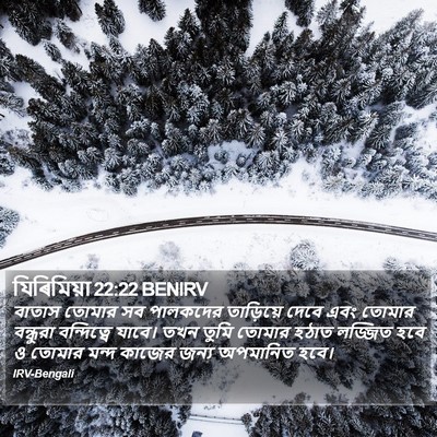 যিৰিমিয়া 22:22 BENIRV Bible Verse Image