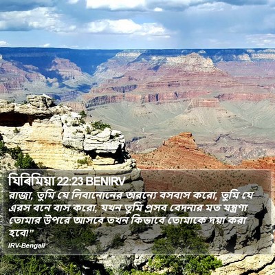 যিৰিমিয়া 22:23 BENIRV Bible Verse Image