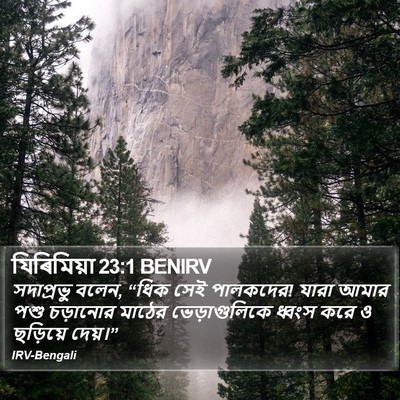 যিৰিমিয়া 23:1 BENIRV Bible Verse Image