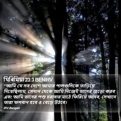 যিৰিমিয়া 23:3 BENIRV Bible Verse Image