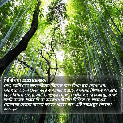 যিৰিমিয়া 23:32 BENIRV Bible Verse Image