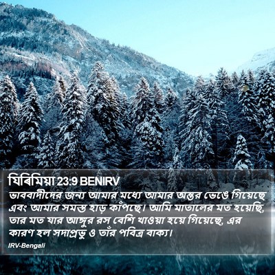 যিৰিমিয়া 23:9 BENIRV Bible Verse Image