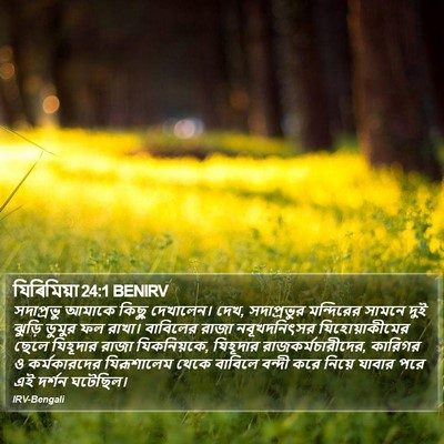 যিৰিমিয়া 24:1 BENIRV Bible Verse Image