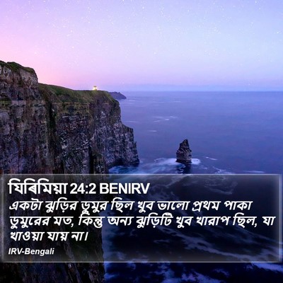 যিৰিমিয়া 24:2 BENIRV Bible Verse Image