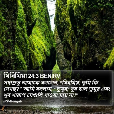 যিৰিমিয়া 24:3 BENIRV Bible Verse Image