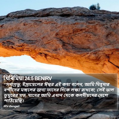 যিৰিমিয়া 24:5 BENIRV Bible Verse Image