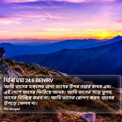 যিৰিমিয়া 24:6 BENIRV Bible Verse Image