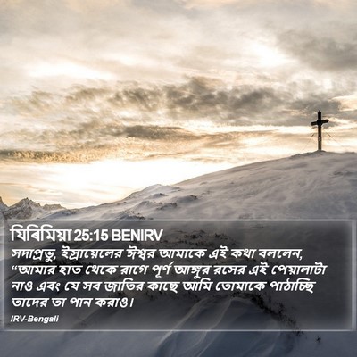 যিৰিমিয়া 25:15 BENIRV Bible Verse Image
