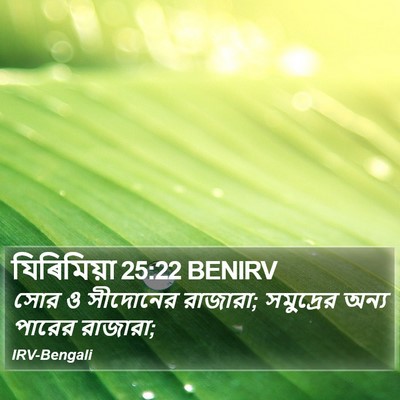 যিৰিমিয়া 25:22 BENIRV Bible Verse Image
