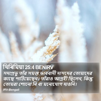 যিৰিমিয়া 25:4 BENIRV Bible Verse Image