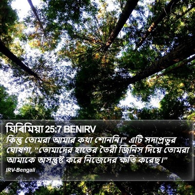 যিৰিমিয়া 25:7 BENIRV Bible Verse Image
