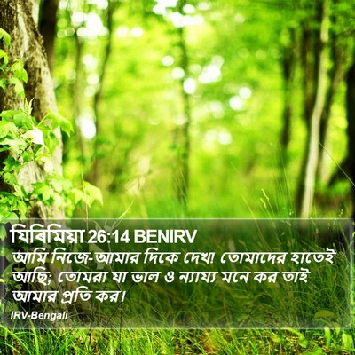 যিৰিমিয়া 26:14 BENIRV Bible Verse Image