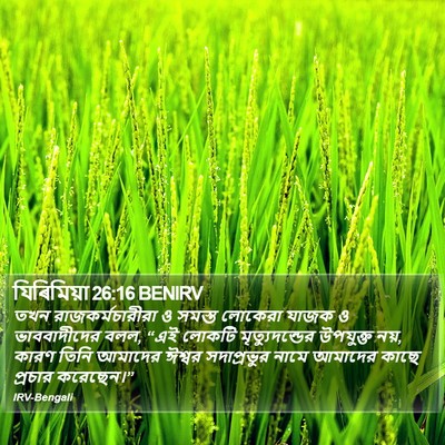 যিৰিমিয়া 26:16 BENIRV Bible Verse Image