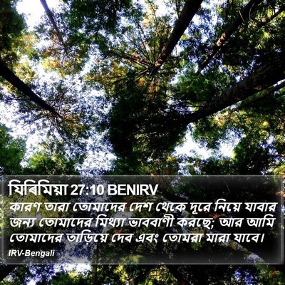 যিৰিমিয়া 27:10 BENIRV Bible Verse Image