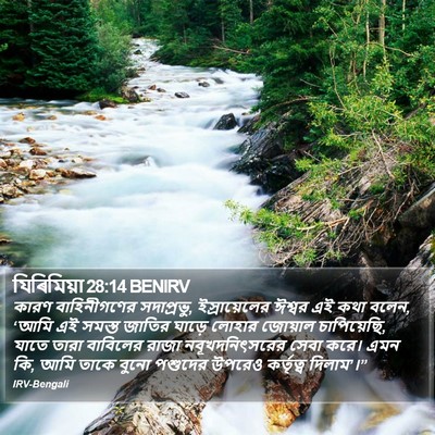 যিৰিমিয়া 28:14 BENIRV Bible Verse Image