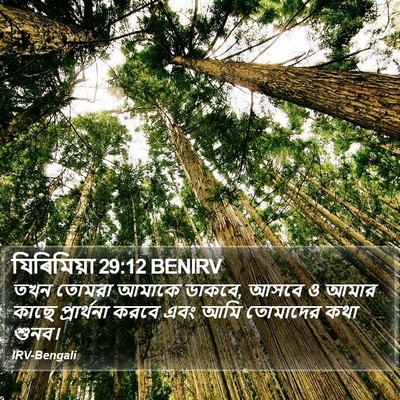 যিৰিমিয়া 29:12 BENIRV Bible Verse Image
