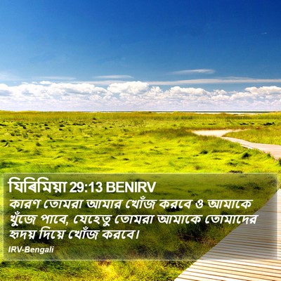 যিৰিমিয়া 29:13 BENIRV Bible Verse Image
