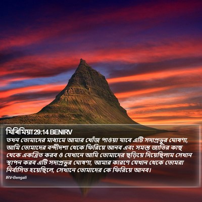 যিৰিমিয়া 29:14 BENIRV Bible Verse Image