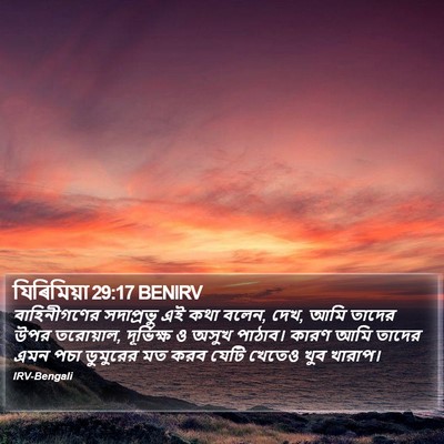 যিৰিমিয়া 29:17 BENIRV Bible Verse Image