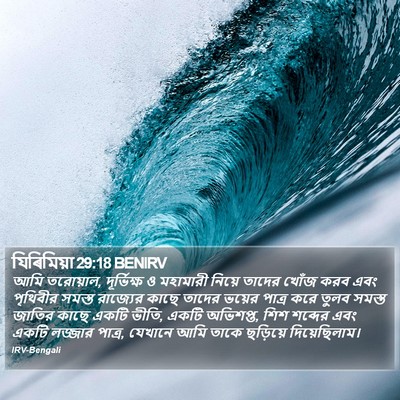 যিৰিমিয়া 29:18 BENIRV Bible Verse Image