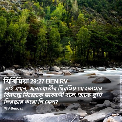 যিৰিমিয়া 29:27 BENIRV Bible Verse Image