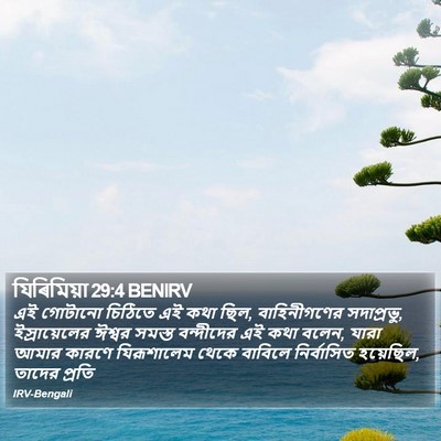যিৰিমিয়া 29:4 BENIRV Bible Verse Image