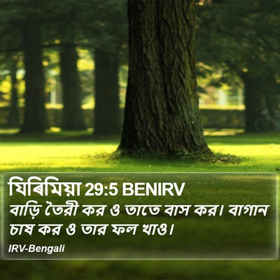 যিৰিমিয়া 29:5 BENIRV Bible Verse Image