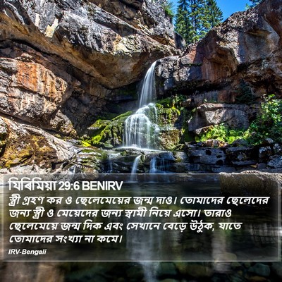 যিৰিমিয়া 29:6 BENIRV Bible Verse Image