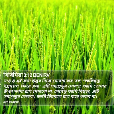 যিৰিমিয়া 3:12 BENIRV Bible Verse Image