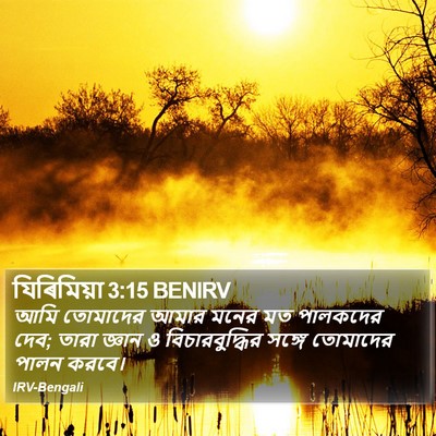 যিৰিমিয়া 3:15 BENIRV Bible Verse Image