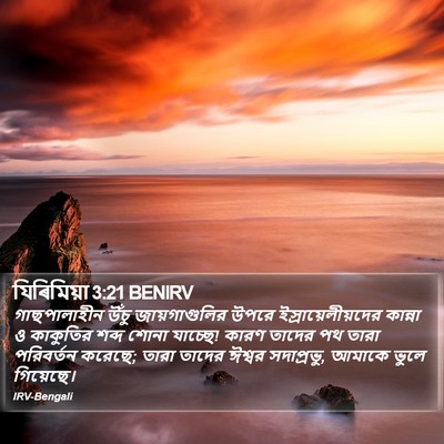 যিৰিমিয়া 3:21 BENIRV Bible Verse Image