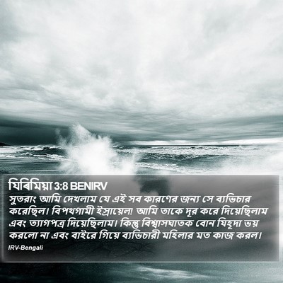 যিৰিমিয়া 3:8 BENIRV Bible Verse Image