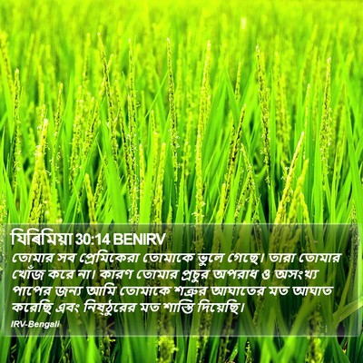 যিৰিমিয়া 30:14 BENIRV Bible Verse Image