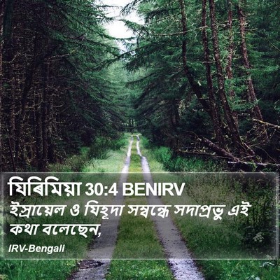 যিৰিমিয়া 30:4 BENIRV Bible Verse Image
