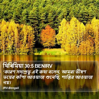 যিৰিমিয়া 30:5 BENIRV Bible Verse Image