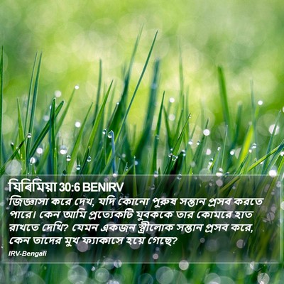 যিৰিমিয়া 30:6 BENIRV Bible Verse Image