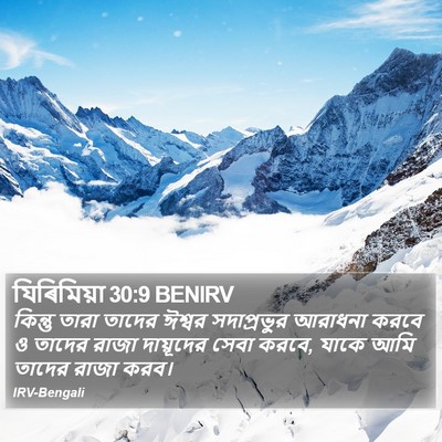 যিৰিমিয়া 30:9 BENIRV Bible Verse Image