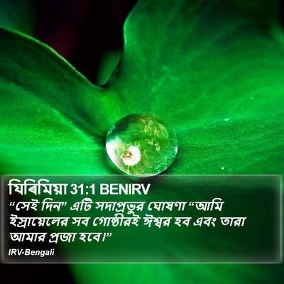 যিৰিমিয়া 31:1 BENIRV Bible Verse Image