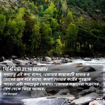 যিৰিমিয়া 31:16 BENIRV Bible Verse Image