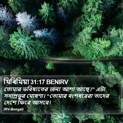 যিৰিমিয়া 31:17 BENIRV Bible Verse Image